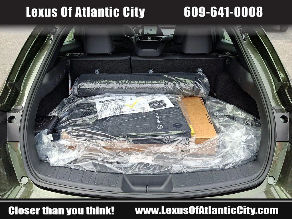 2025 Lexus UX Hybrid 300h Premium - Photo 29