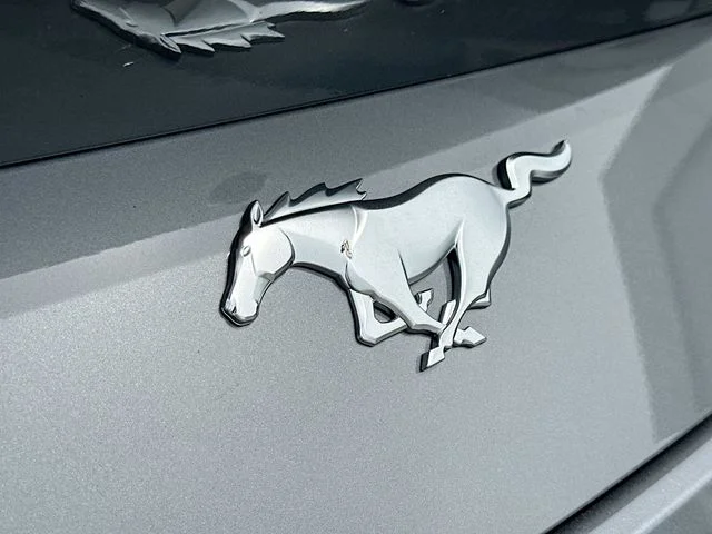 New 2026 Gray Ford EcoBoost image 17