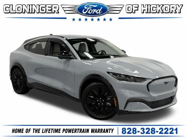 Used 2024 Gray Ford Premium image 1
