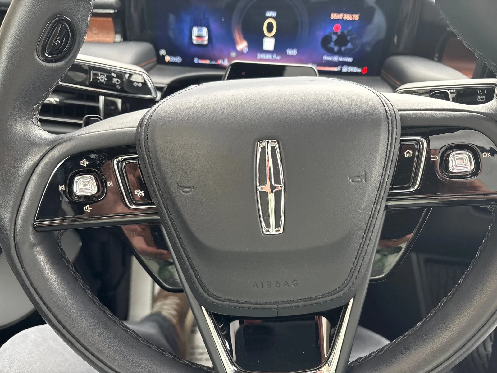 Used 2025 Pristine White Lincoln Black Label image 18