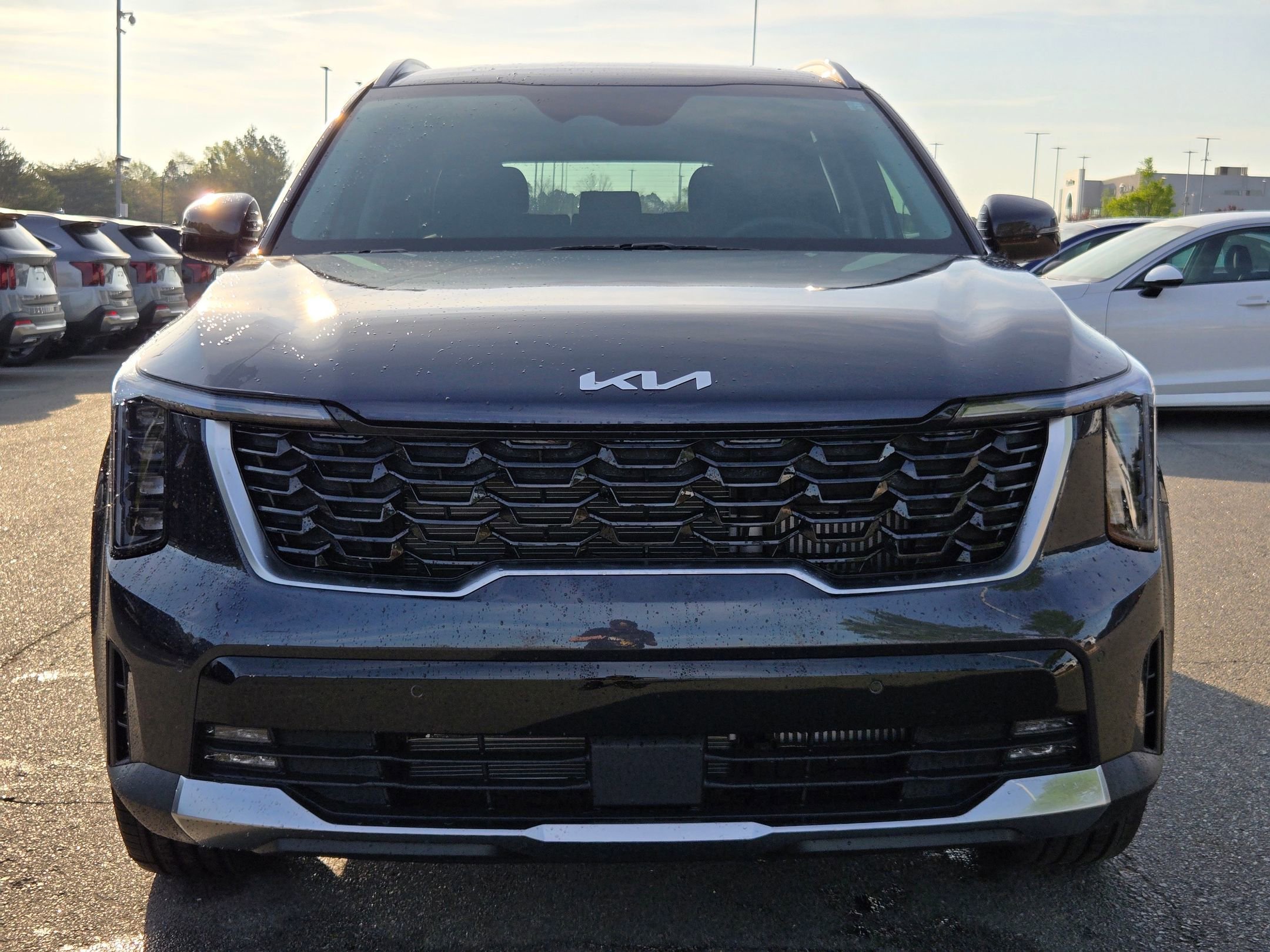 New 2026 Panthera Metal Kia EX image 2