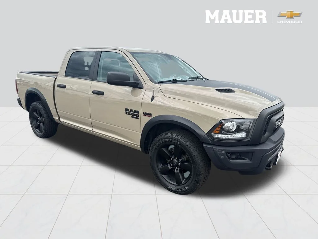 Used 2019 Beige Ram Warlock image 1