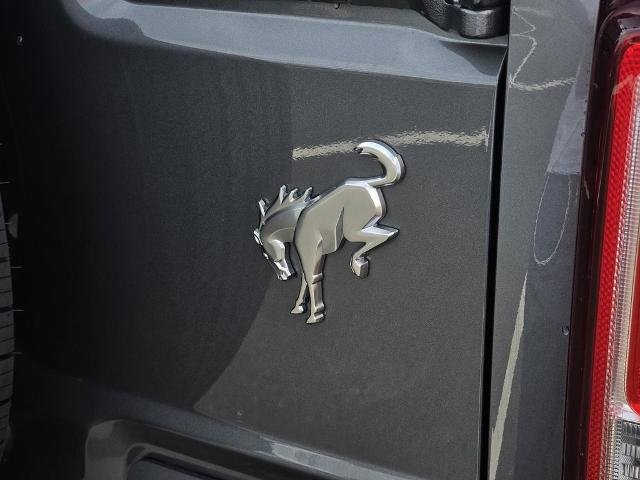 New 2026 Carbonized Gray Metallic Ford Base image 81
