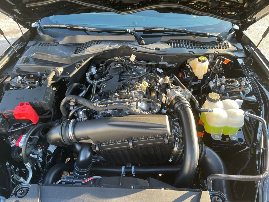 New 2026 SHADOW BLACK Ford EcoBoost Premium image 23