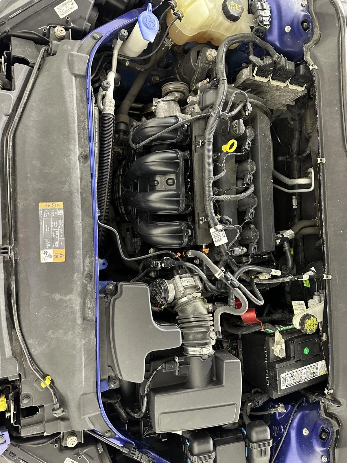 Used 2016 Deep Impact Blue Ford SE image 23
