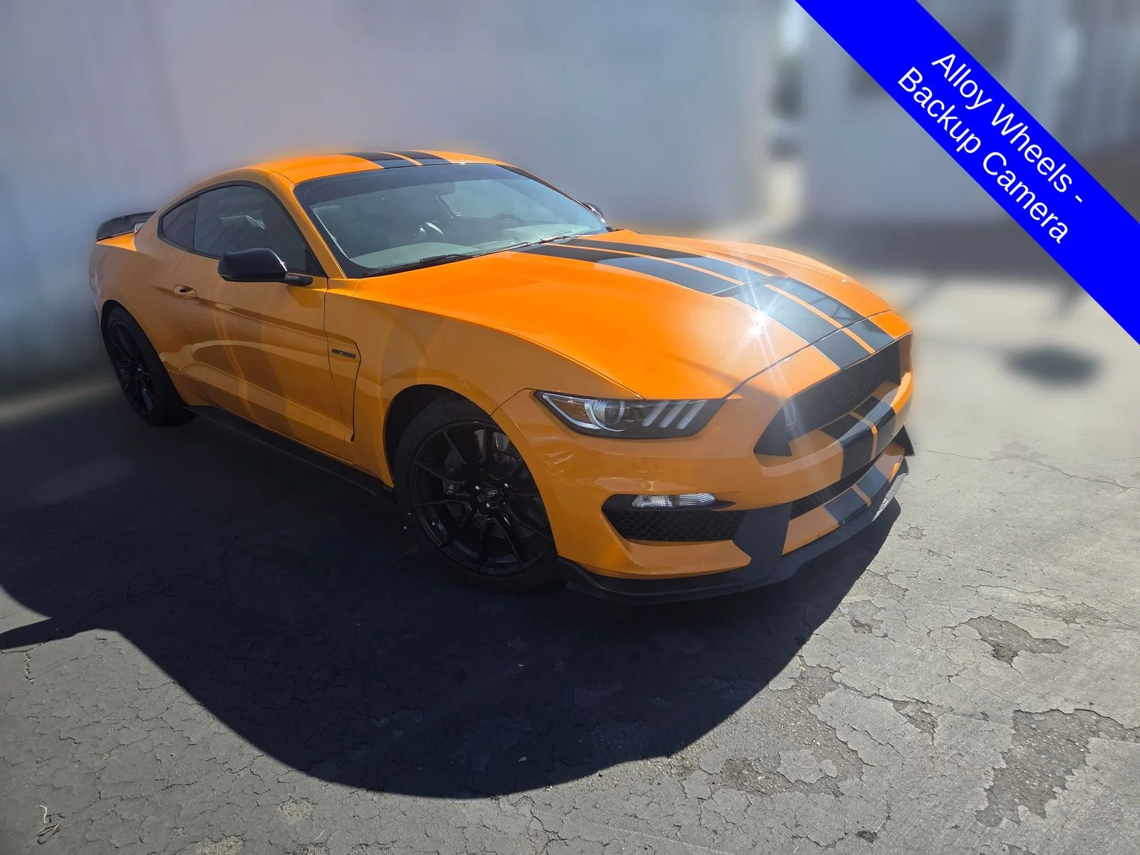 2019 Ford Mustang Shelby GT350's photo