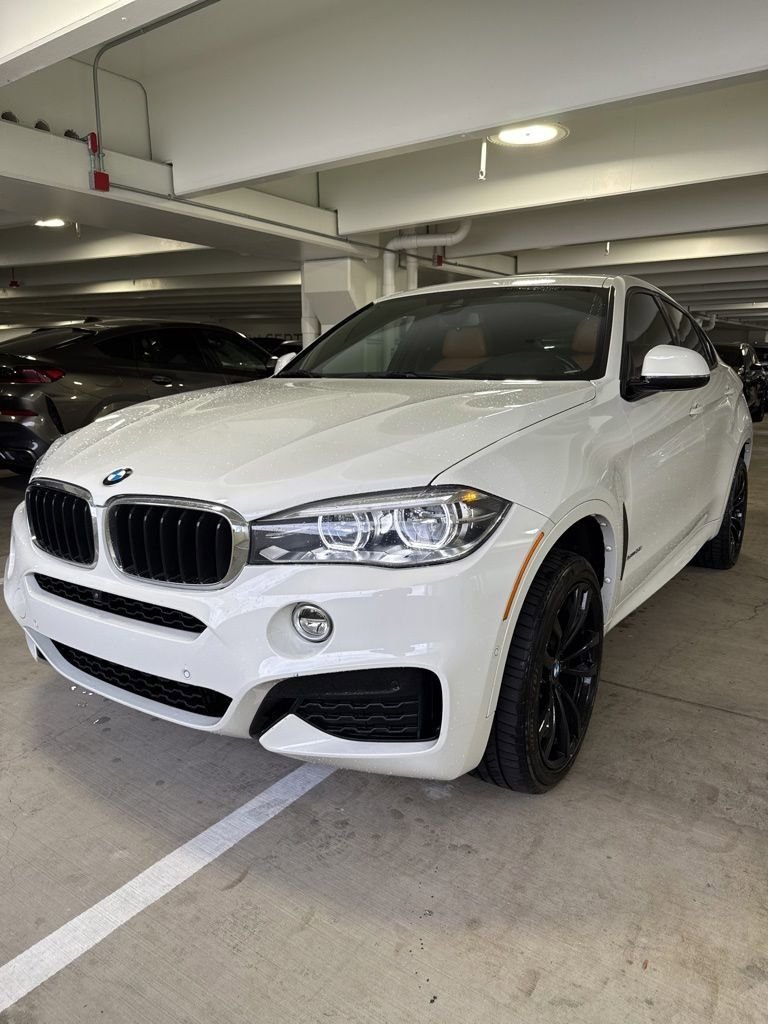 2018 BMW X6 xDrive35i's photo