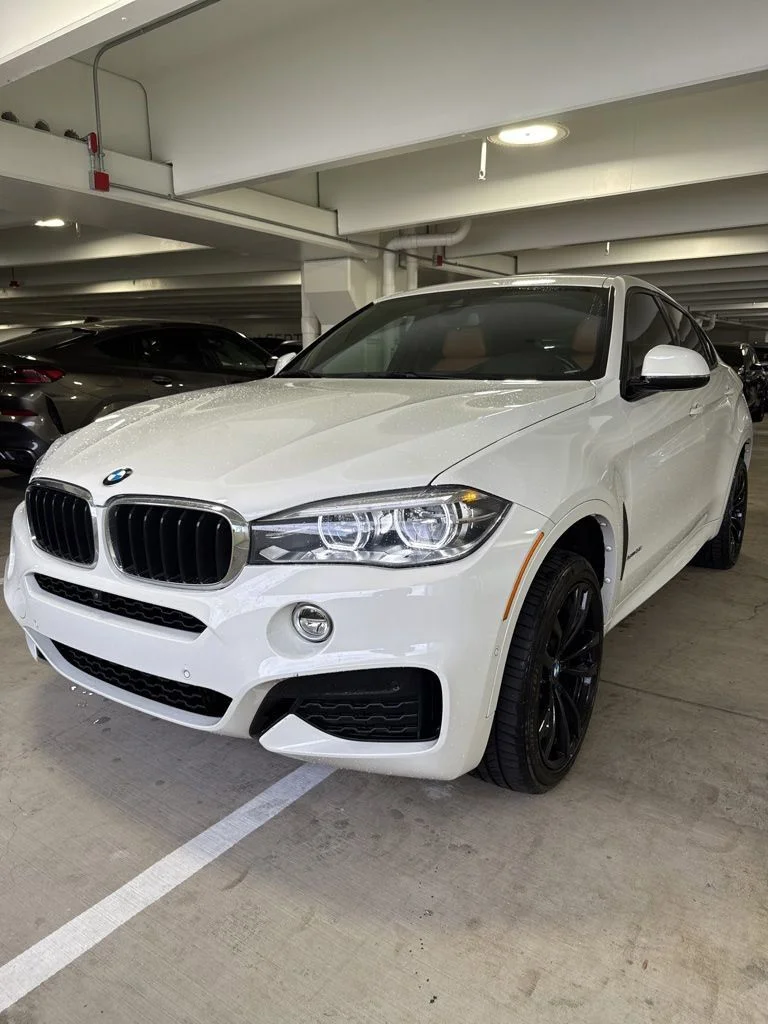 2018 BMW X6 xDrive35i's photo