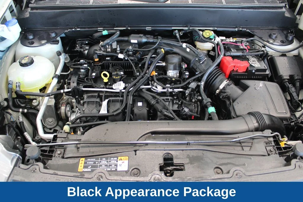 Used 2024  Ford XLT image 10