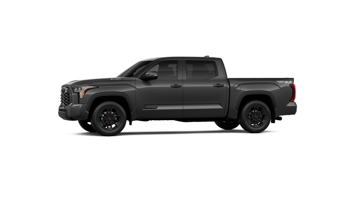New 2026 Magnetic Gray Metallic Toyota Platinum image 18