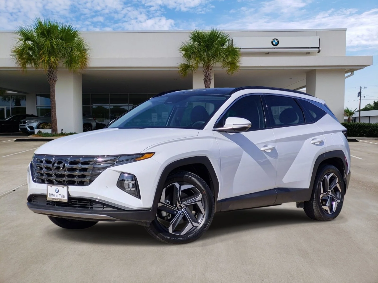 Used 2024 White Pearl Hyundai Limited image 1