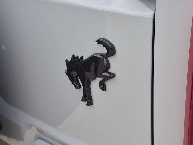 New 2026 Avalanche Gray Ford Big Bend® image 26