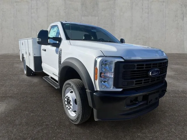 New 2025 White Ford XL image 7