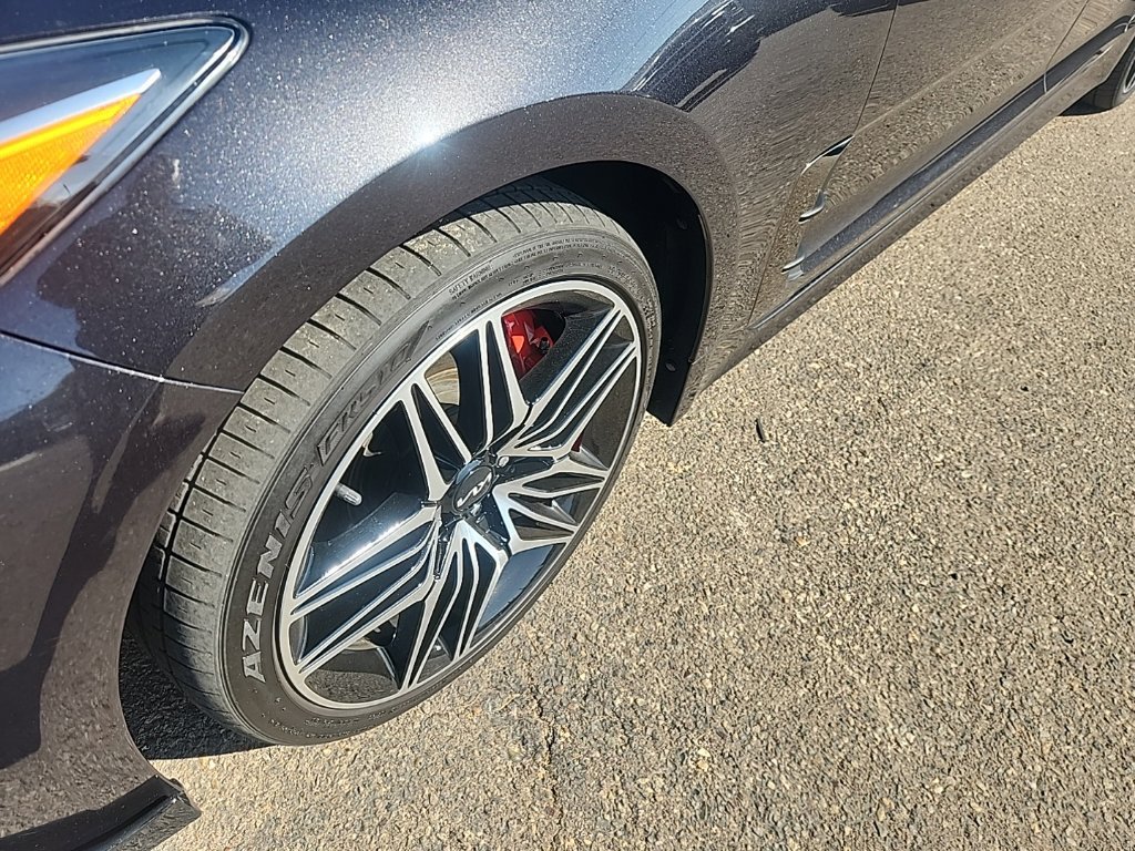 Used 2022 Panthera Metal Kia GT2 image 8