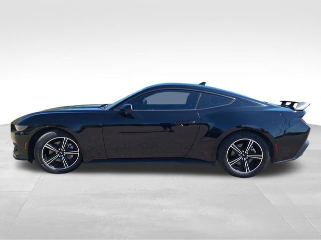 Used 2025 Black Ford EcoBoost image 4