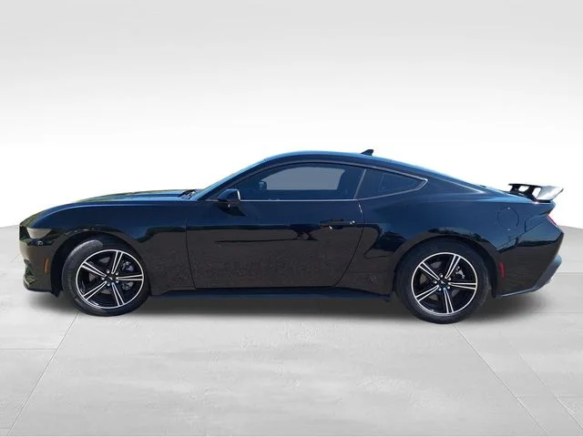 Used 2025 Black Ford EcoBoost image 4