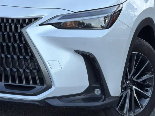 2024 Lexus NX 350 - Photo 7