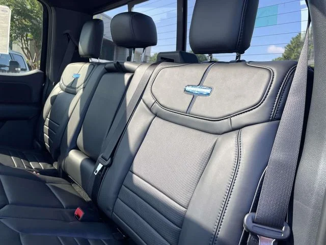 New 2026 Black Ford Platinum image 10
