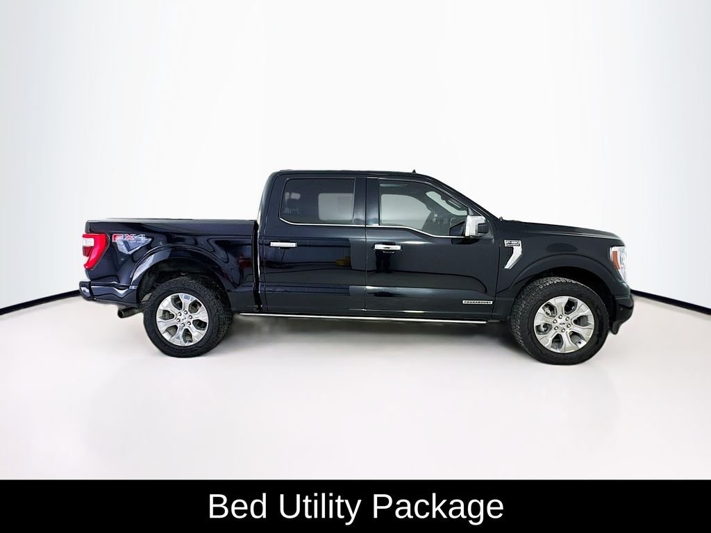 2023 Ford F-150 Platinum - Photo 9