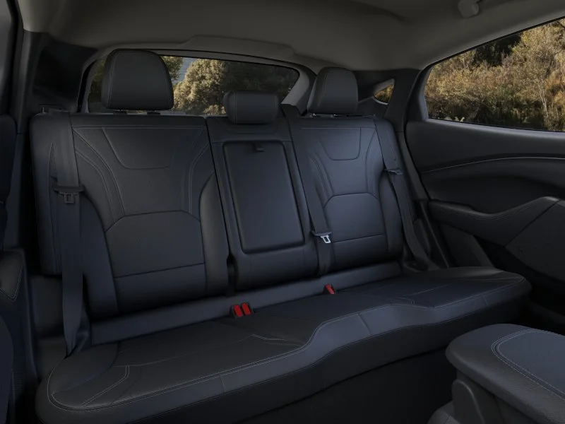 New 2026 Shadow Black Ford Premium image 11