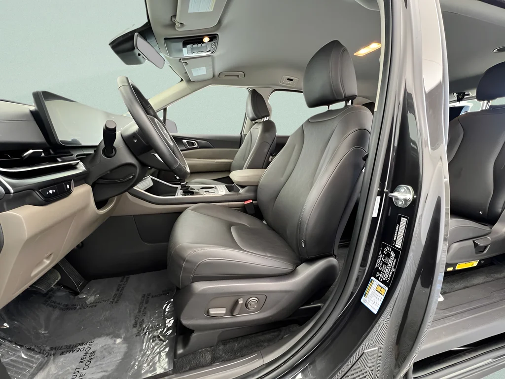 Used 2026 Panthera Metal Kia LXS image 19
