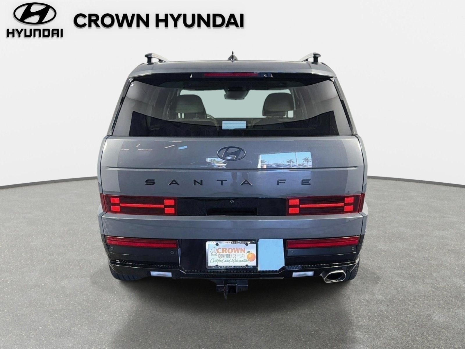 Used 2024 Ecotronic Gray Hyundai Calligraphy image 6