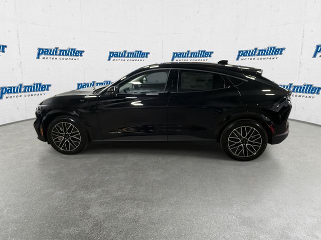 New 2026 Shadow Black Ford Premium image 7