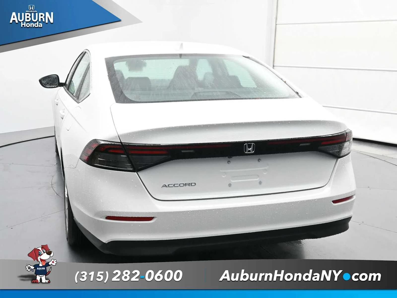 New 2025 Platinum White Pearl Honda LX image 12
