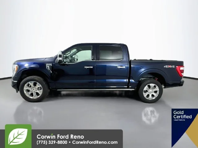 Used 2023 Blue Metallic Ford Platinum image 5