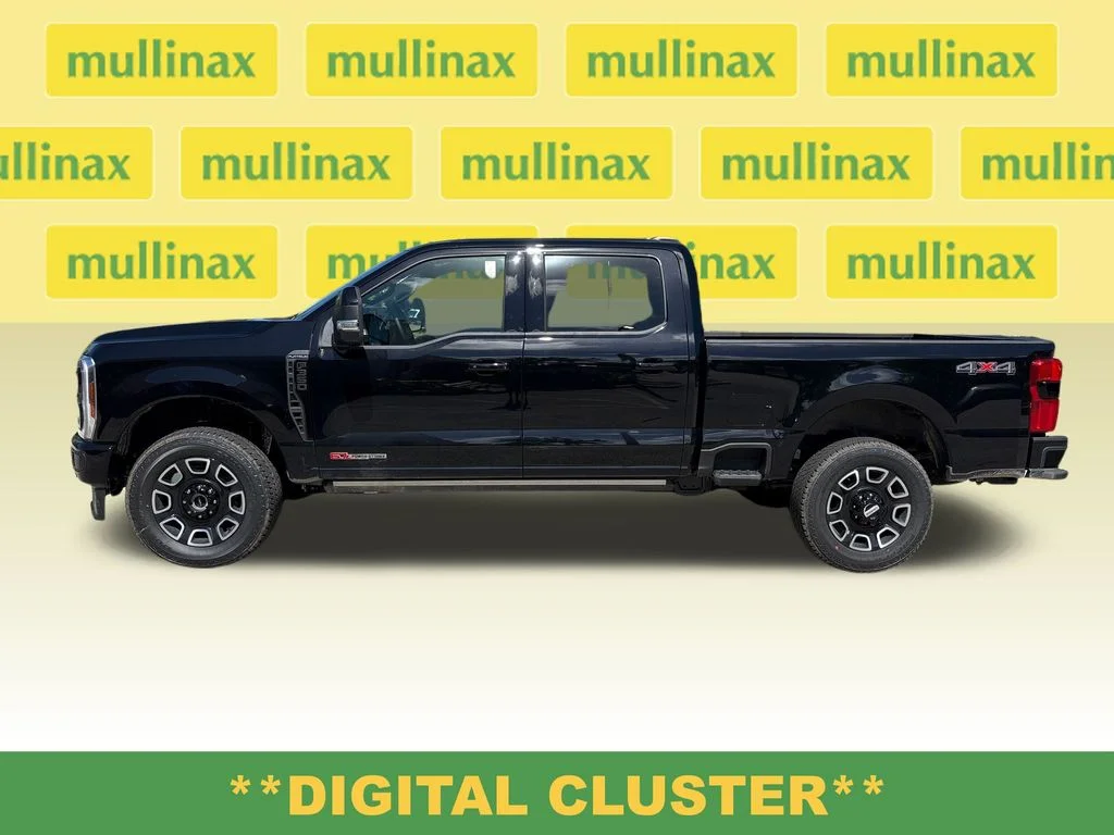 New 2026 Black Ford Platinum image 12