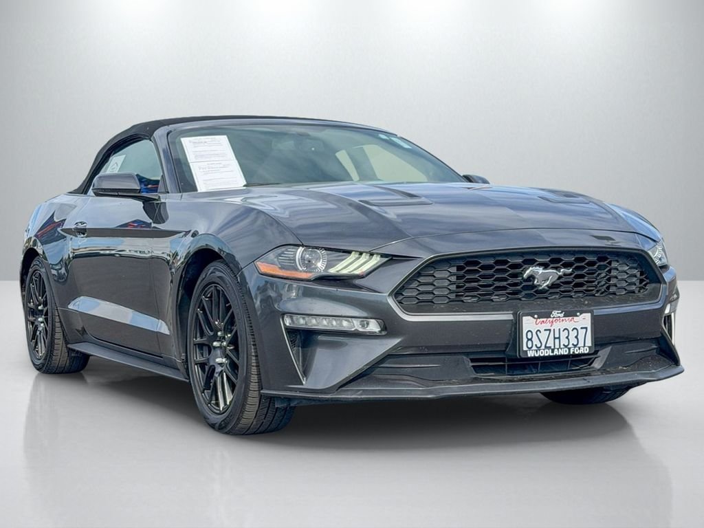 Gray 2019 Ford Mustang EcoBoost Premium Convertible RWD Convertible Rear-Wheel Drive
