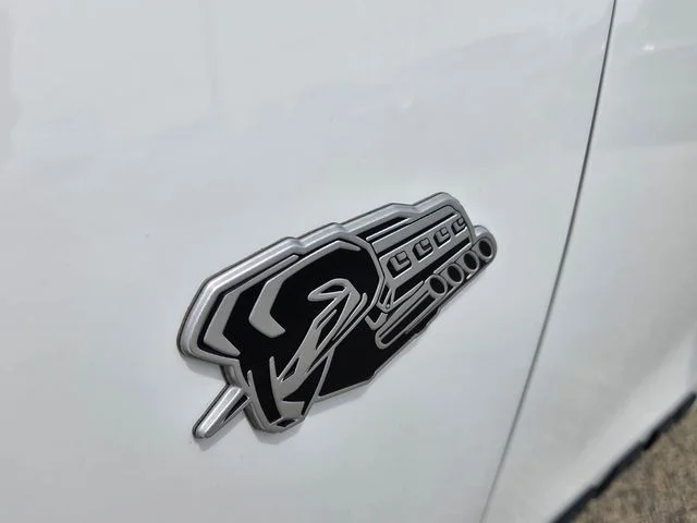 New 2026 Bright White Clear-Coat Exterior Paint RAM Big Horn/Lone Star image 19