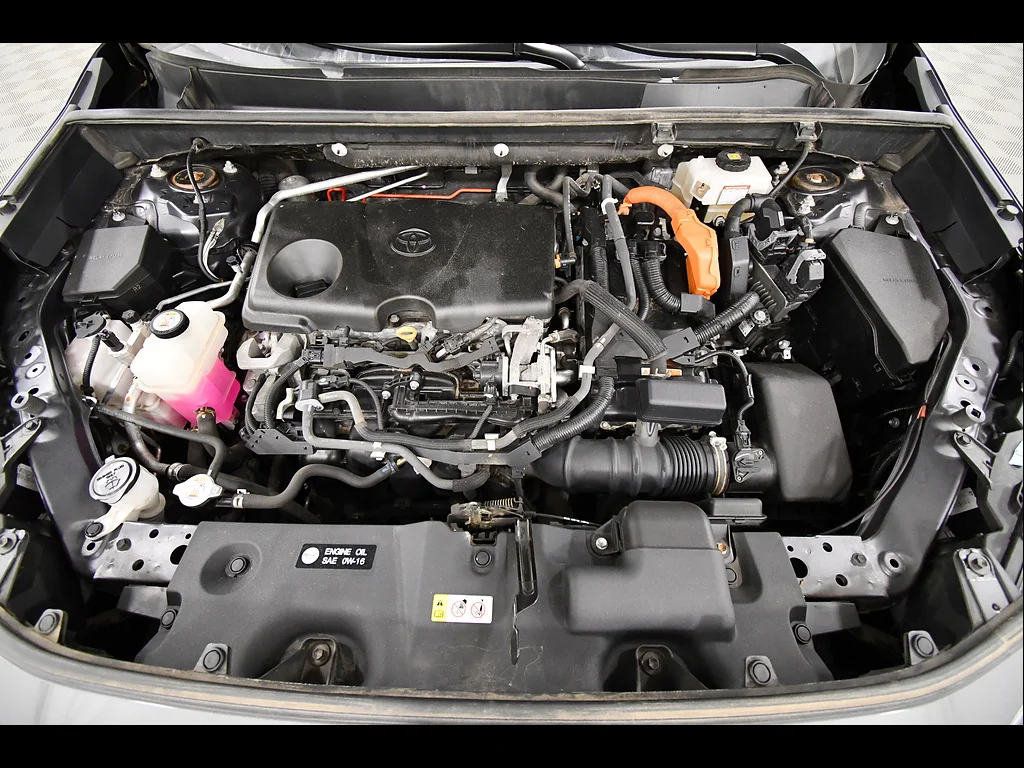 2019 Toyota RAV4 XLE - Photo 12