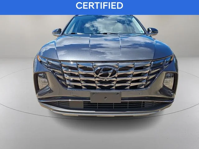 Used 2023 Gray Hyundai Limited image 3
