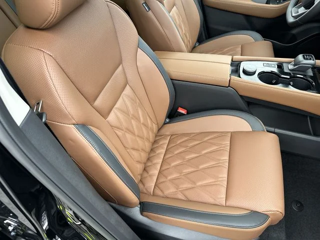 New 2026 Black Nissan Platinum image 28