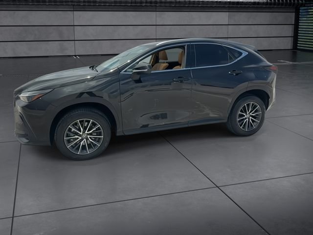 Certified Used 2024 Black Lexus 250 Premium image 5