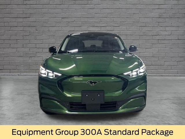 New 2026 Eruption Green Metallic Ford Premium image 2