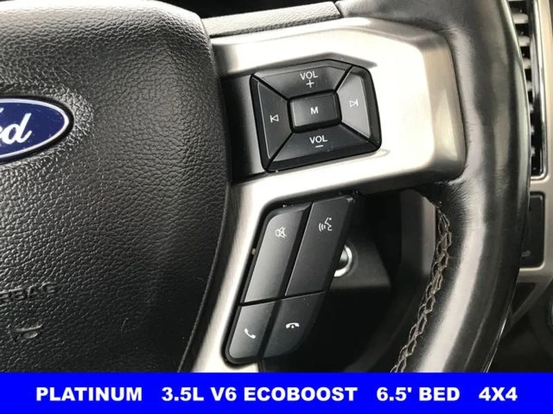 Certified Used 2020 Magnetic Metallic Ford Platinum image 11