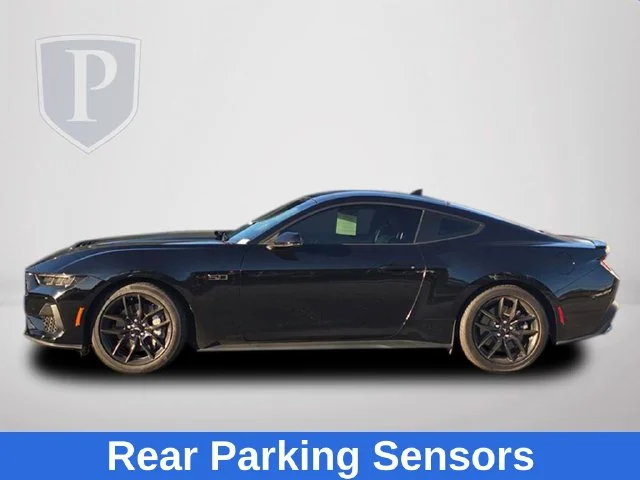 Used 2025 Black Ford GT Premium image 11