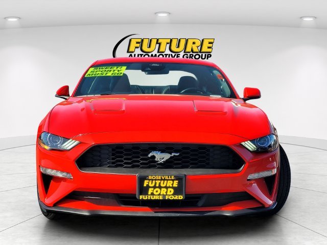 Used 2023 Red Ford EcoBoost Premium image 2