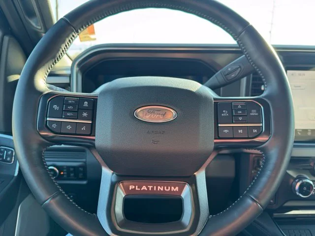 Used 2026 Black Ford Platinum image 19