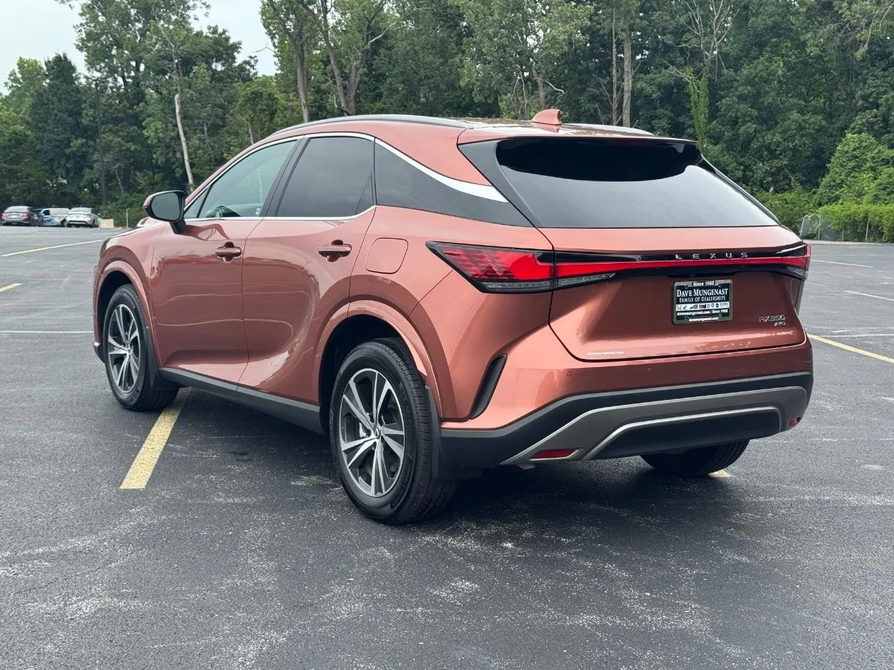 Used 2023 Copper Crest Lexus Premium image 7