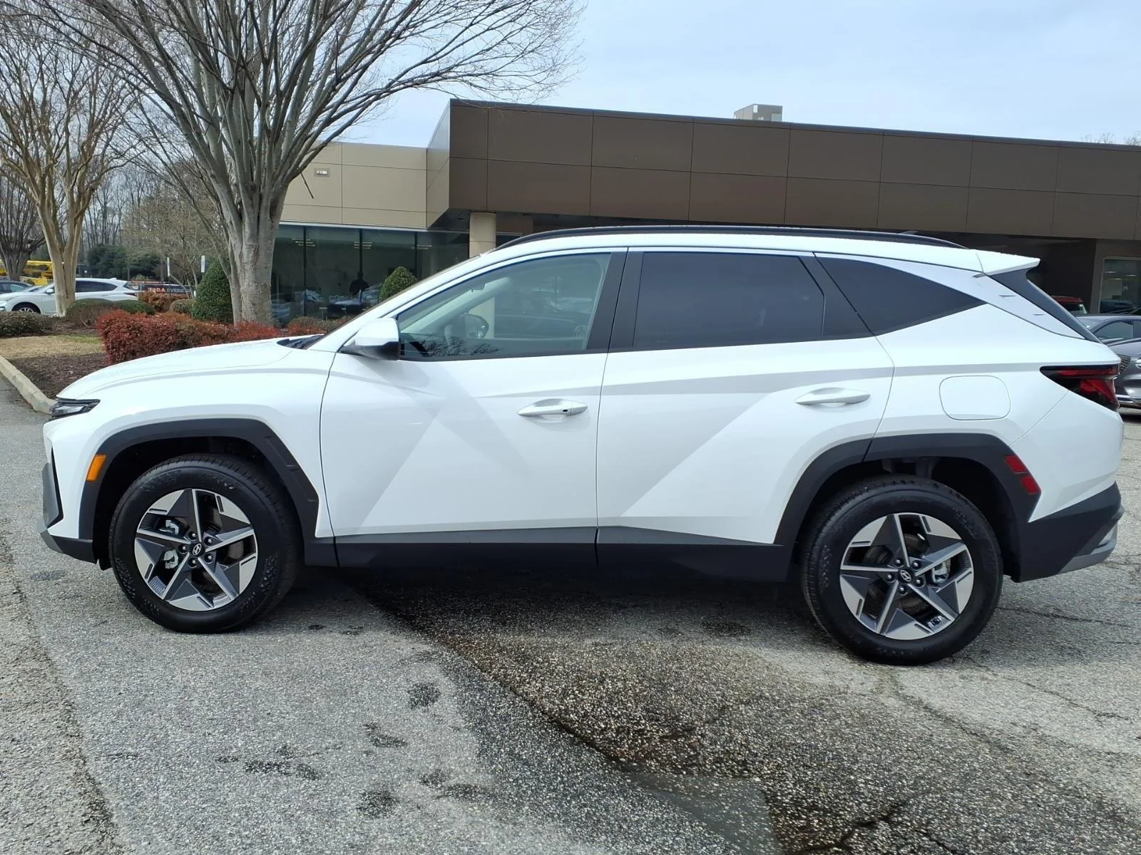 Used 2026 Serenity White Pearl Hyundai SEL image 13