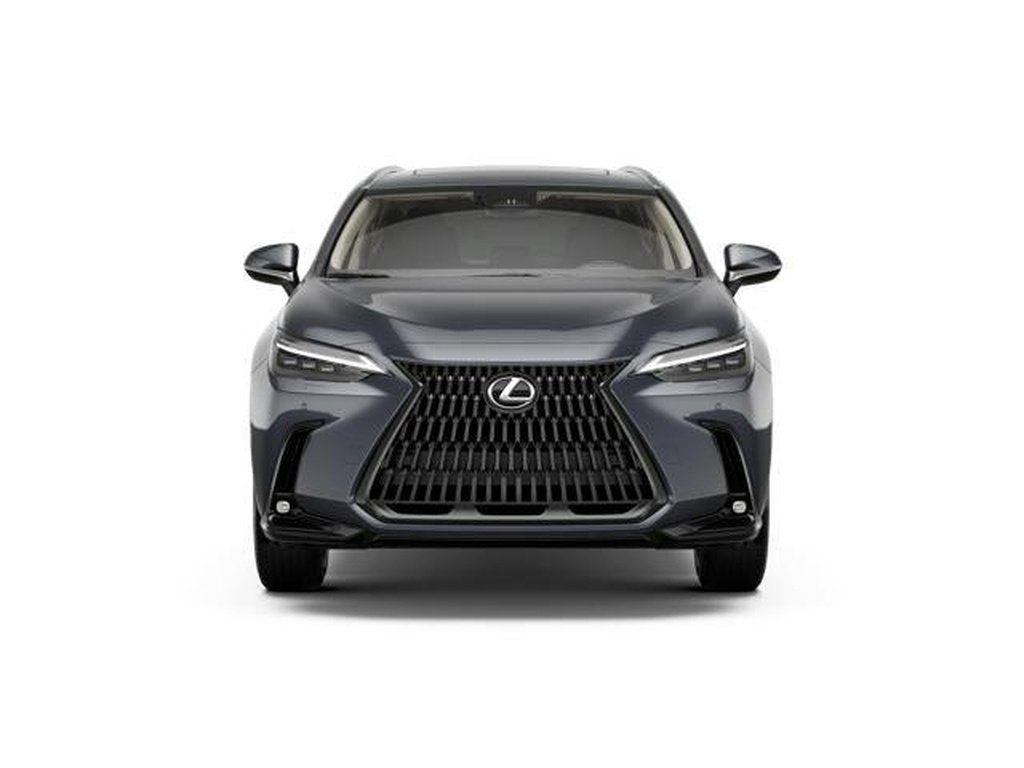 New 2026 Cloudburst Gray Lexus LUXURY AWD image 4