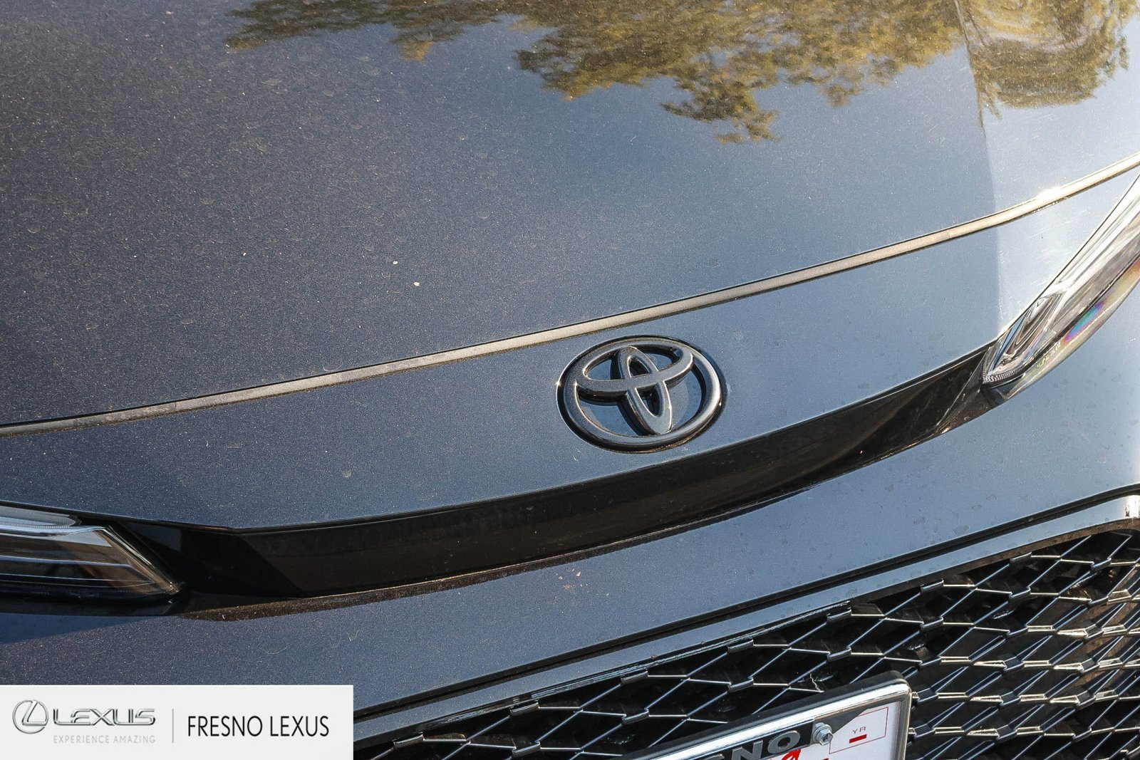 Used 2026 Black Toyota XSE image 11
