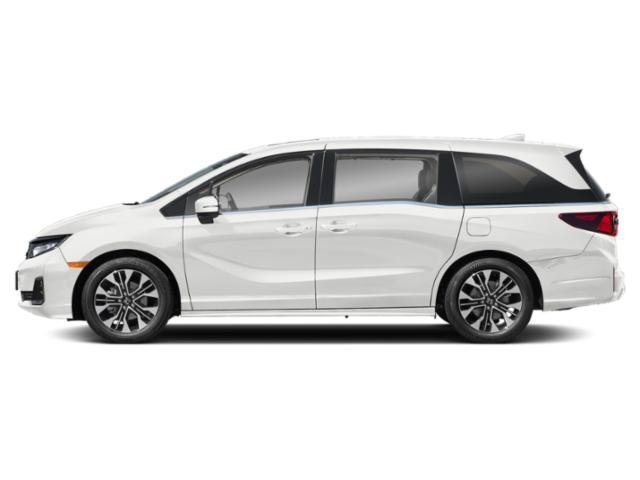 New 2026 Platinum White Pearl Honda Elite image 3