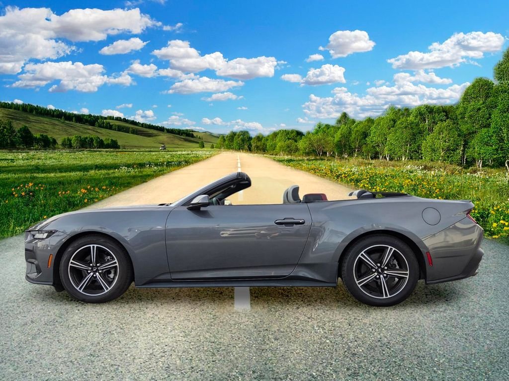Used 2024 Gray Ford EcoBoost Premium image 3