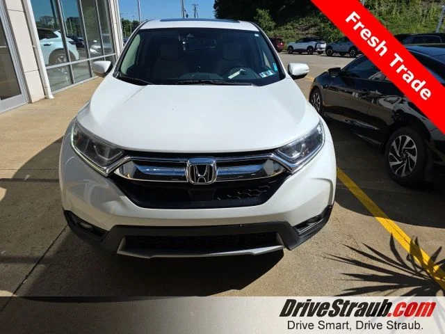 Used 2019 White Honda EX-L image 1