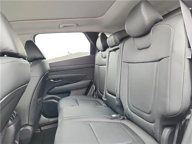 New 2026 Serenity White Pearl Hyundai Limited image 8