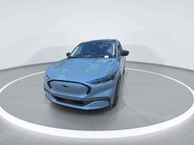 Used 2024 Blue Ford Premium image 3